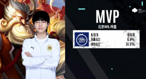 篮带来了小 篮带来了小