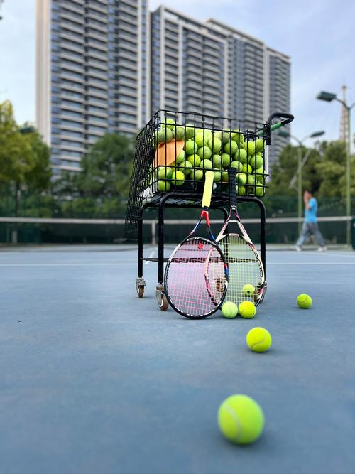 在情感与理 在情感与理