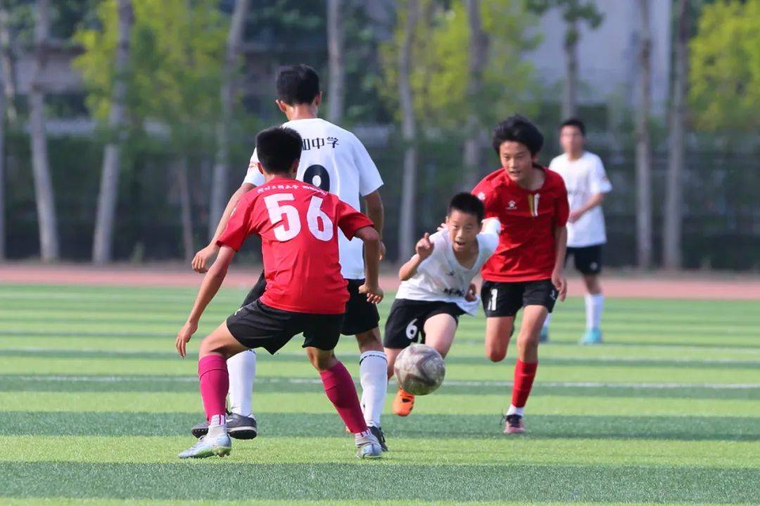 但能提供新
